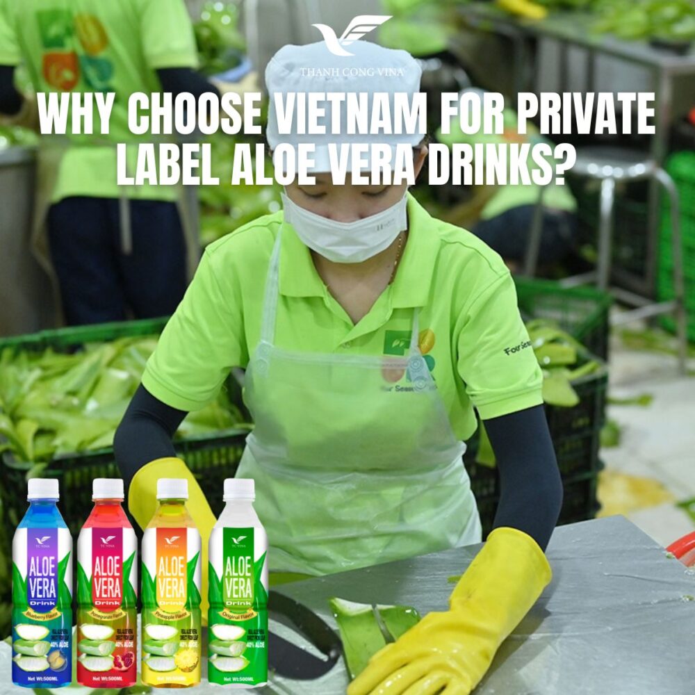 Why Choose Vietnam for Private Label Aloe Vera Drinks?