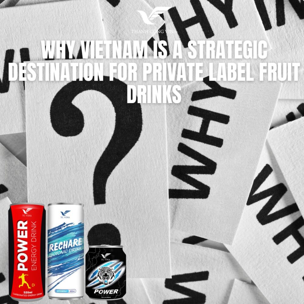 Why Vietnam Is a Strategic Destination for Private Label Fruit Drinks