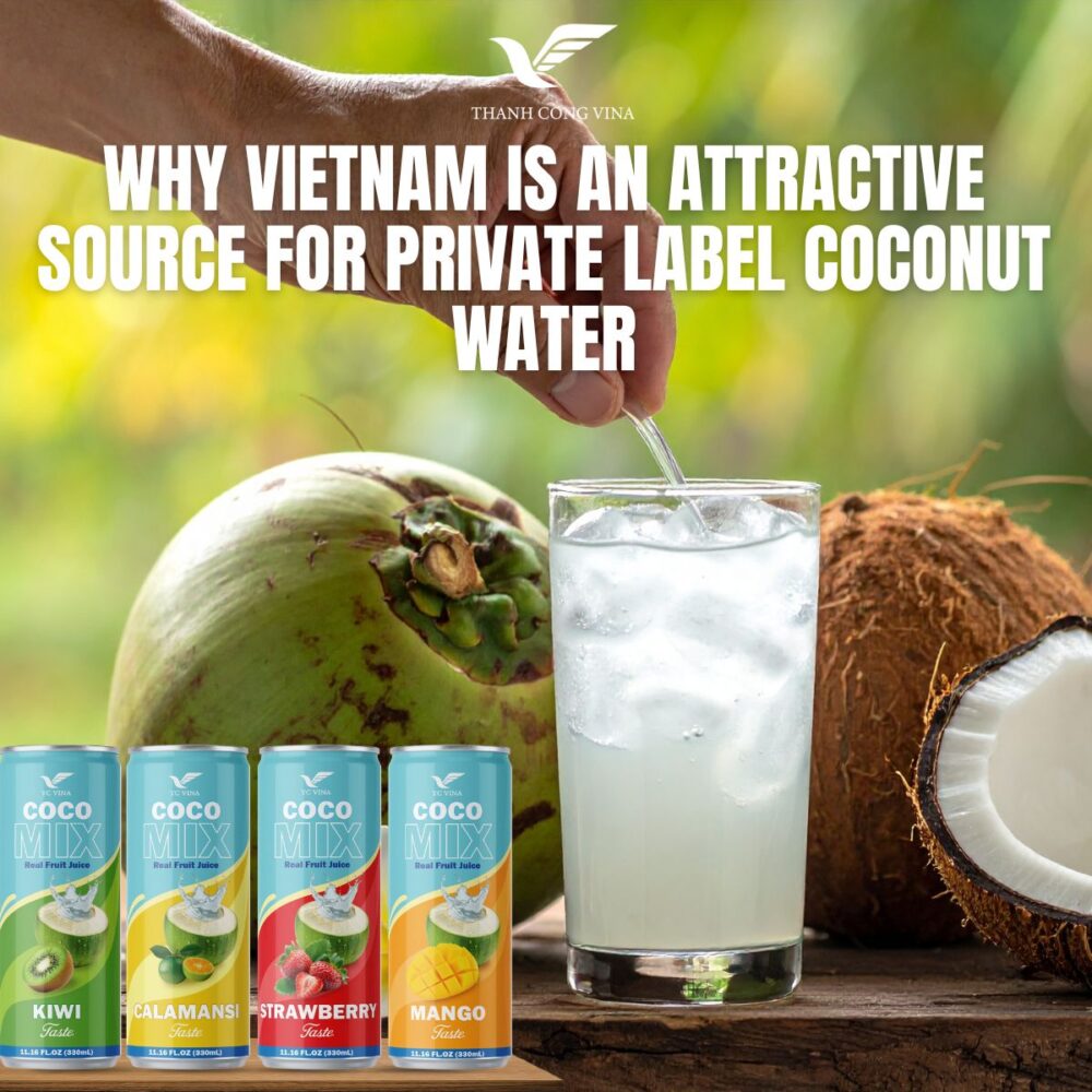 Why Vietnam Is an Attractive Source for Private Label Coconut Water