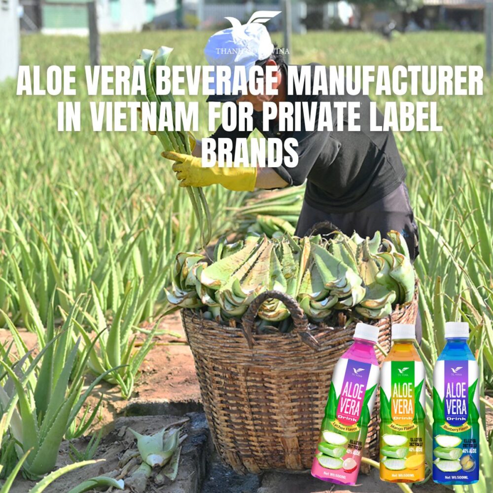 Aloe Vera Beverage Manufacturer in Vietnam for Private Label Brands
