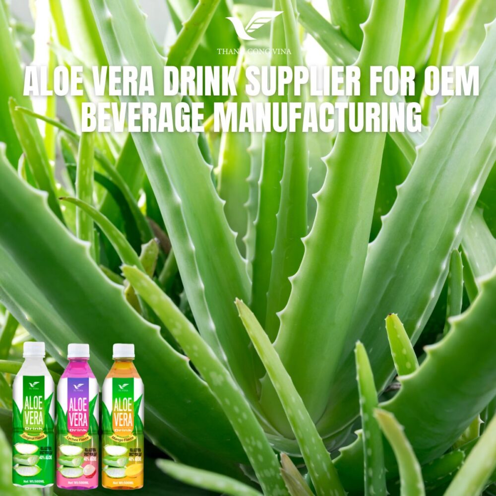Aloe Vera Drink Supplier for OEM Beverage Manufacturing