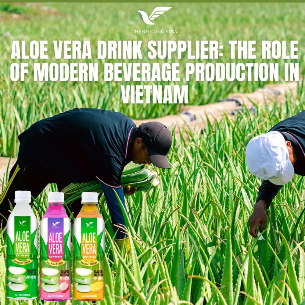 Aloe Vera Drink Supplier: The Role of Modern Beverage Production in Vietnam