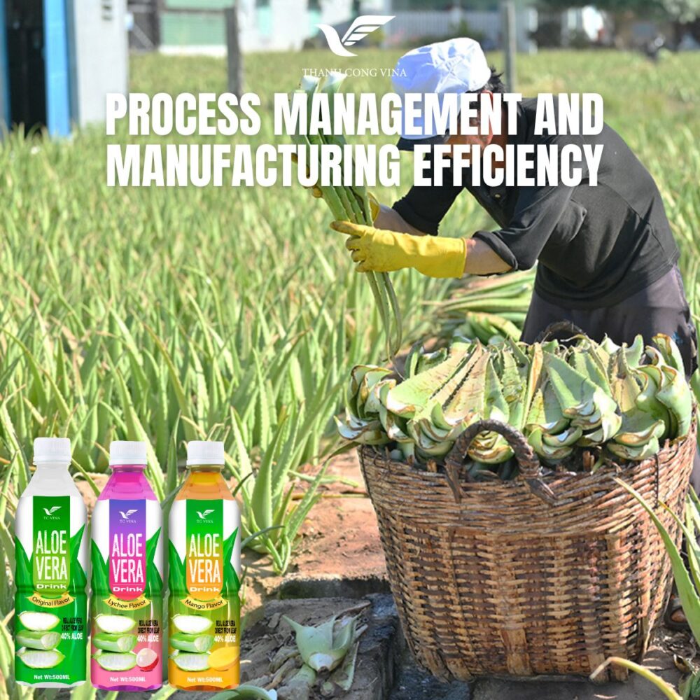 Process Management and Manufacturing Efficiency