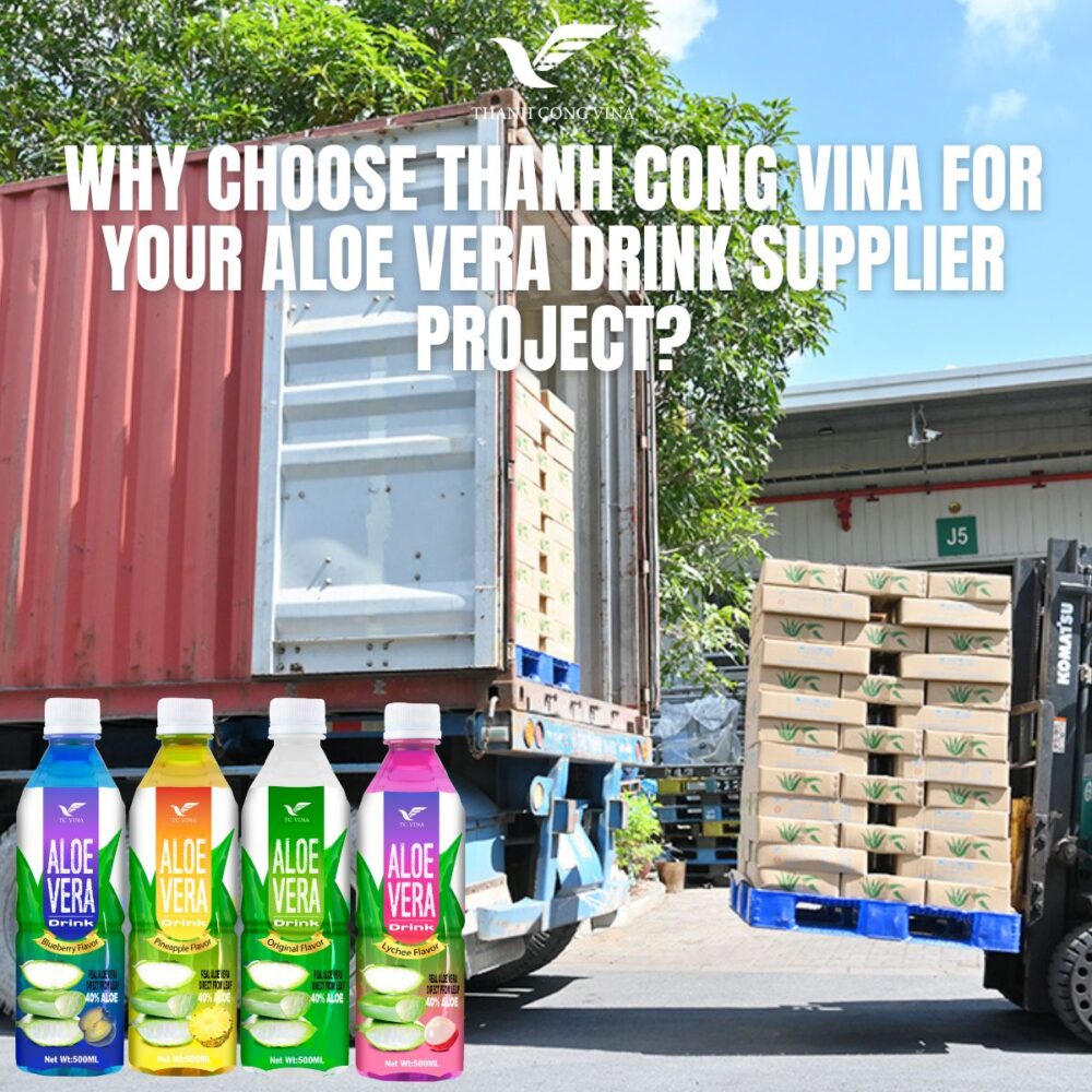Why Choose Thanh Cong Vina for Your Aloe Vera Drink Supplier Project?