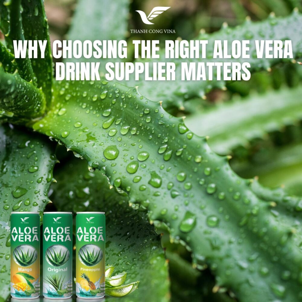 Why Choosing the Right Aloe Vera Drink Supplier Matters