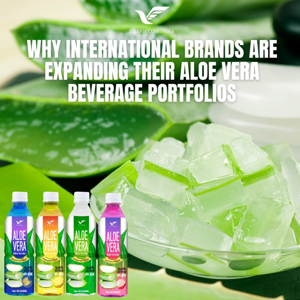 Why International Brands Are Expanding Aloe Vera Drink Supplier Beverage Portfolios