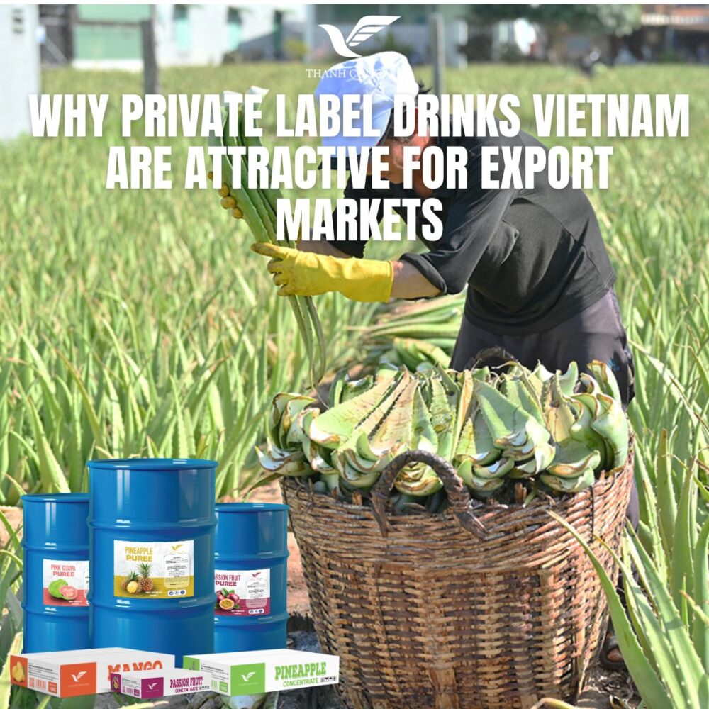 Why Private Label Drinks Vietnam Are Attractive for Export Markets